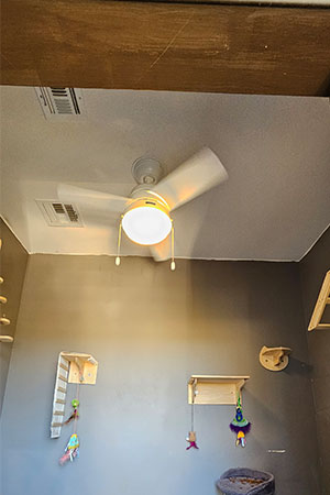 http://Can%20light%20with%20a%20ceiling%20fan